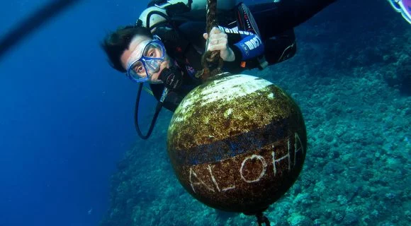 Feedback de viagem: 15 dias no Havaí da Anna