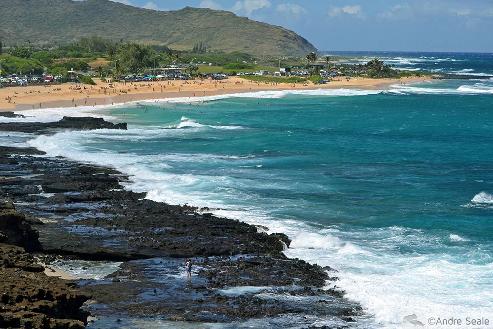 Sandy's - Oahu