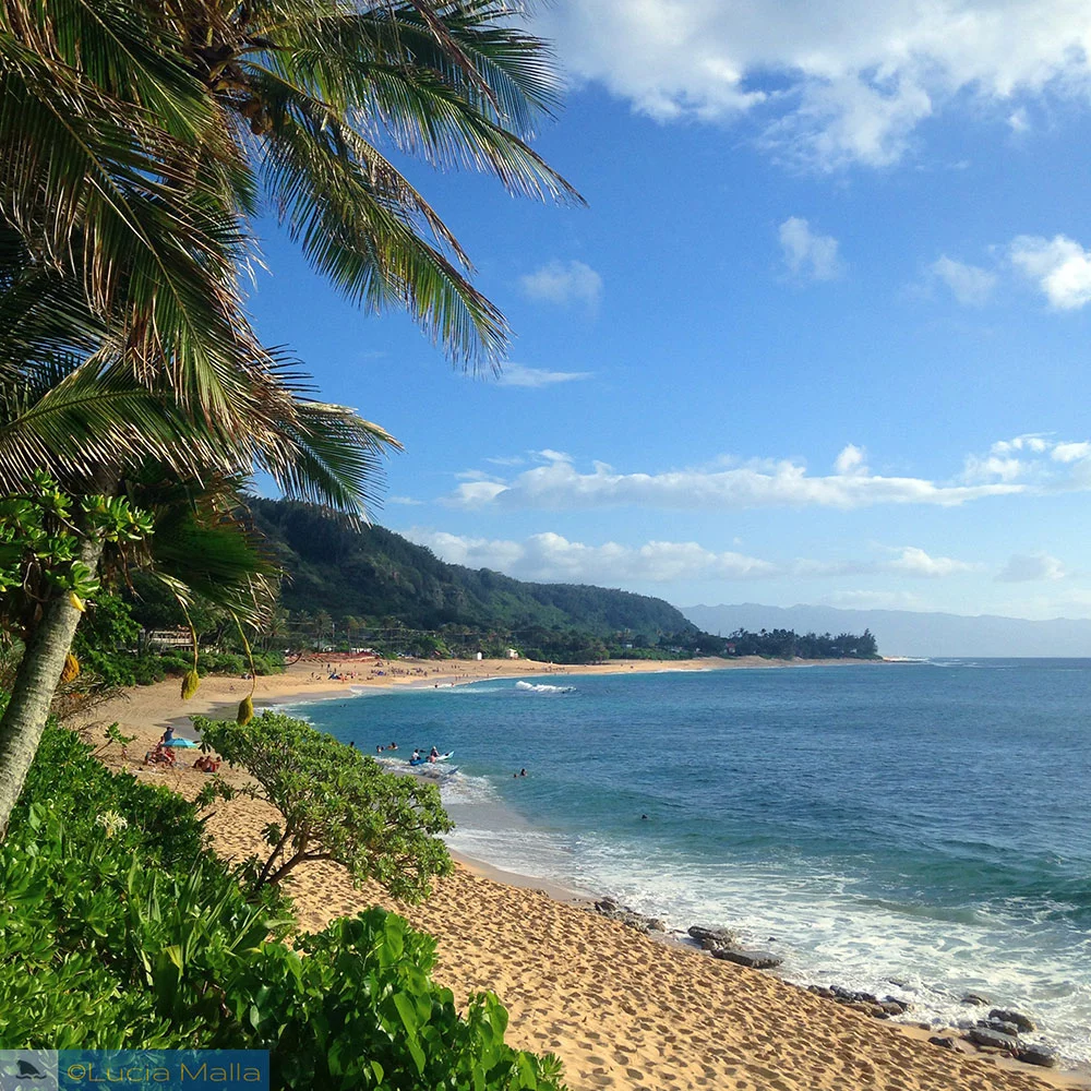 Sunset Beach - North Shore de Oahu - Havaí