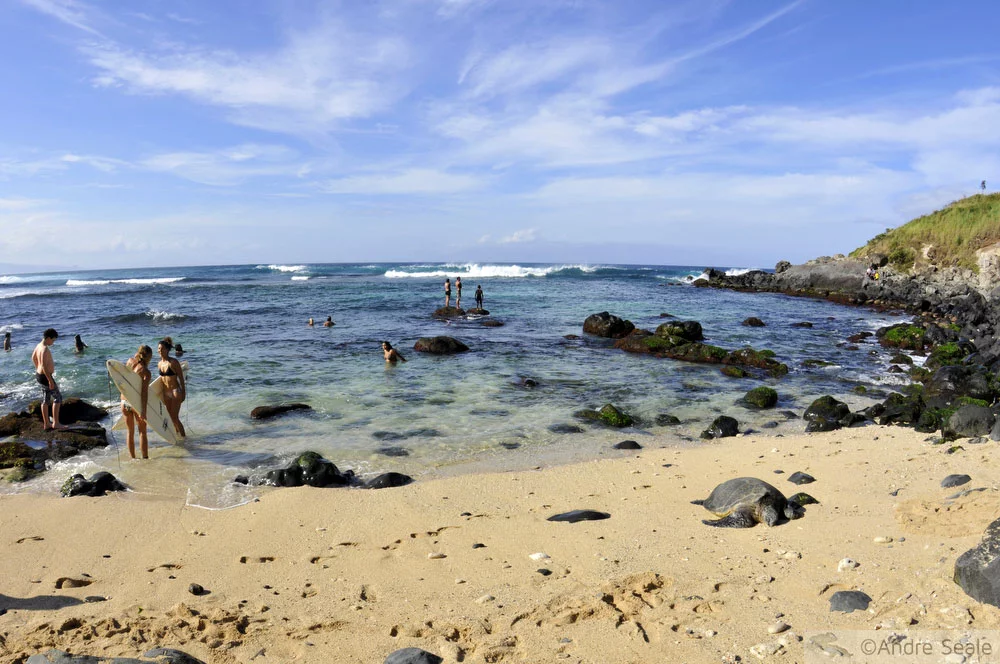 Minhas top 10 praias do Havaí versão 2014 - Hookipa Beach - Maui