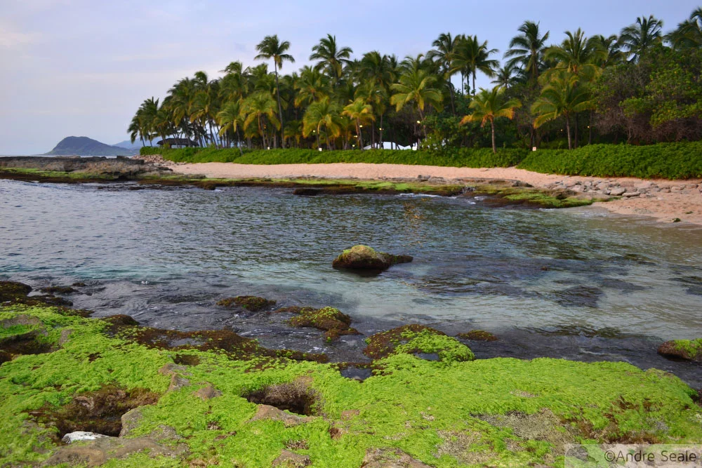 Secret Beach - Oahu
