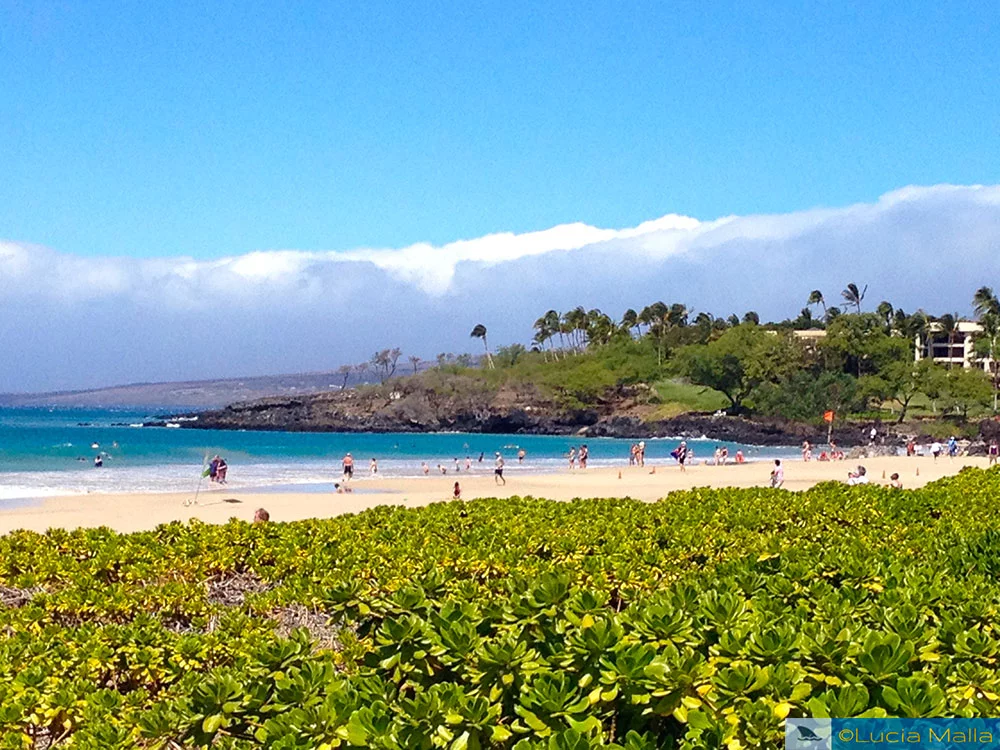 Hapuna Beach - Big Island - melhores praias do Havaí