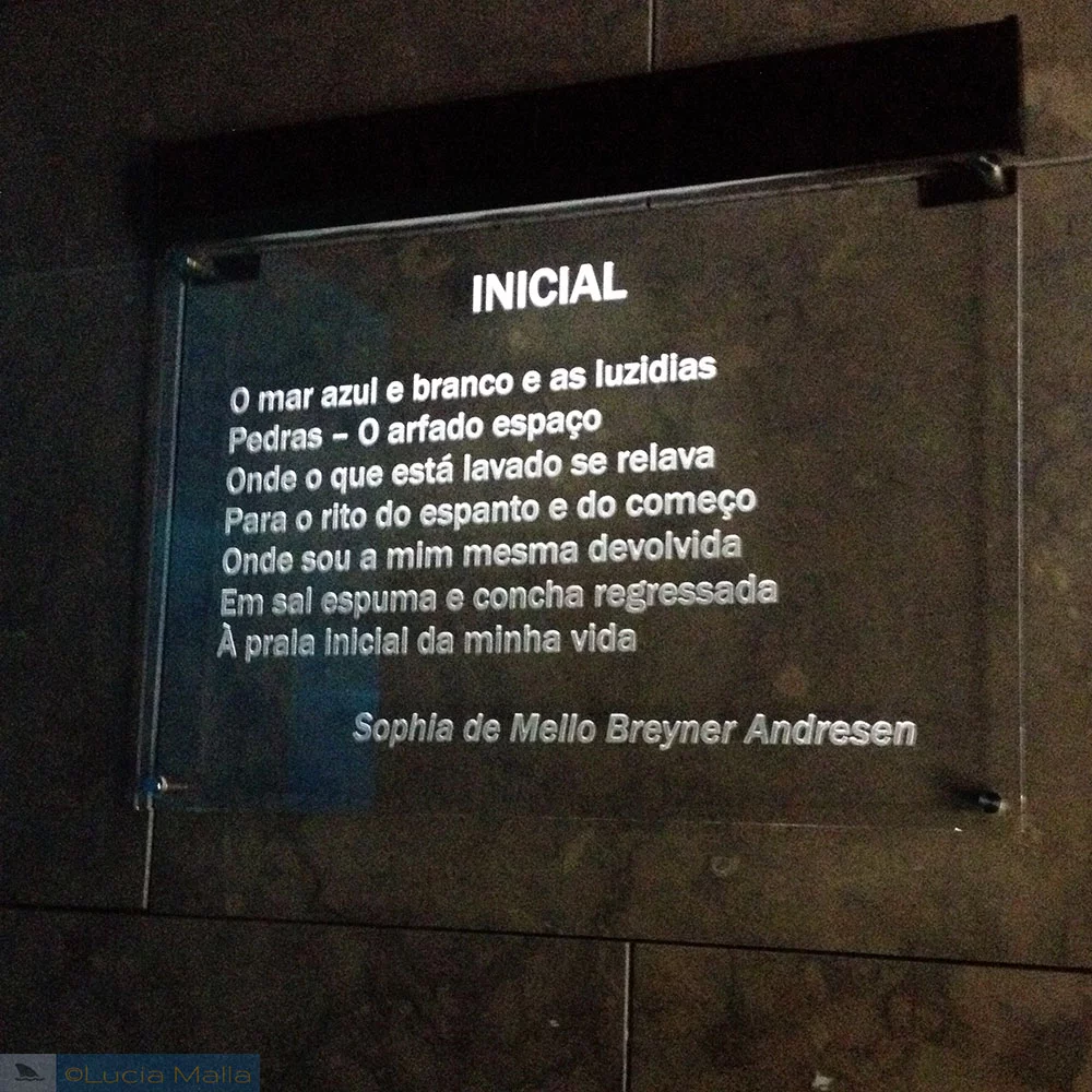 Inicial - Poema de Sophia de Mello Andresen