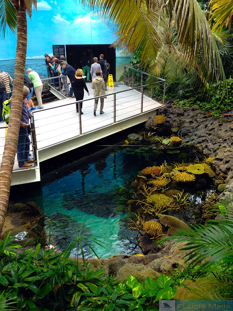Oceanário de Lisboa - Portugal