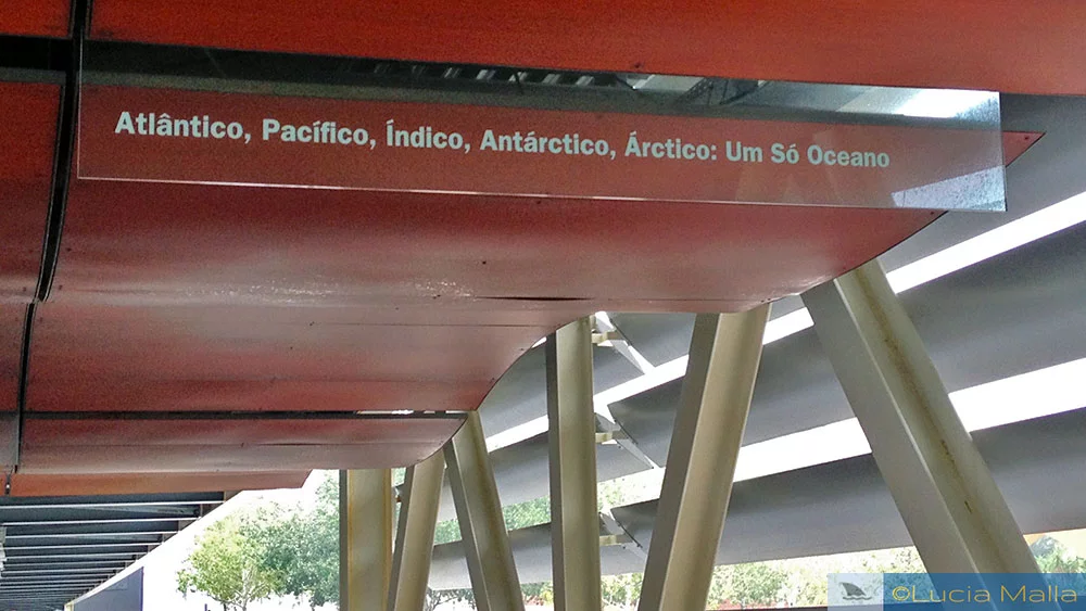 Oceanário de Lisboa - Portugal - Um só oceano
