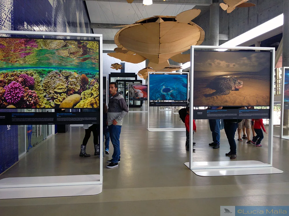 Exposição fotográfica - Oceanário de Lisboa - Portugal