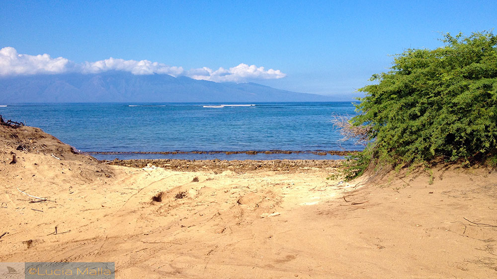 Praia em Lanai - Havaí