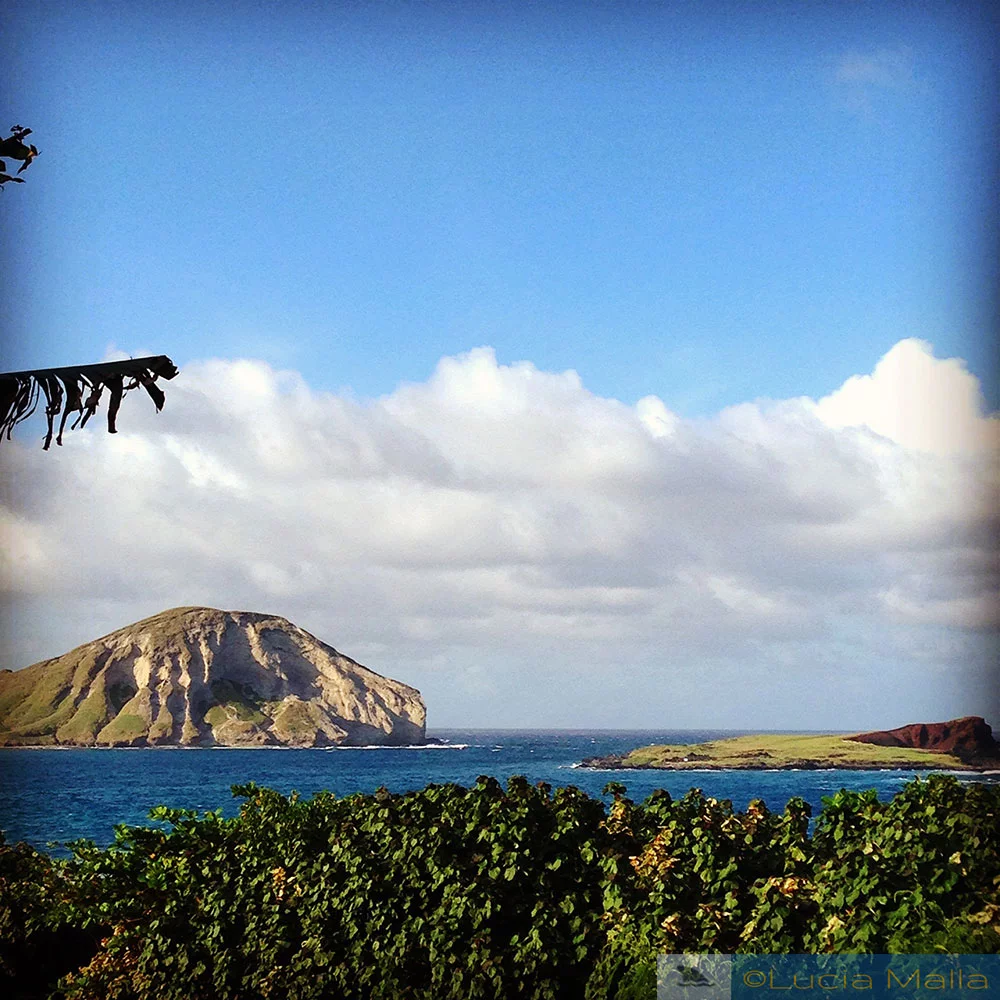 Guia de luau no Havaí - Makapuu