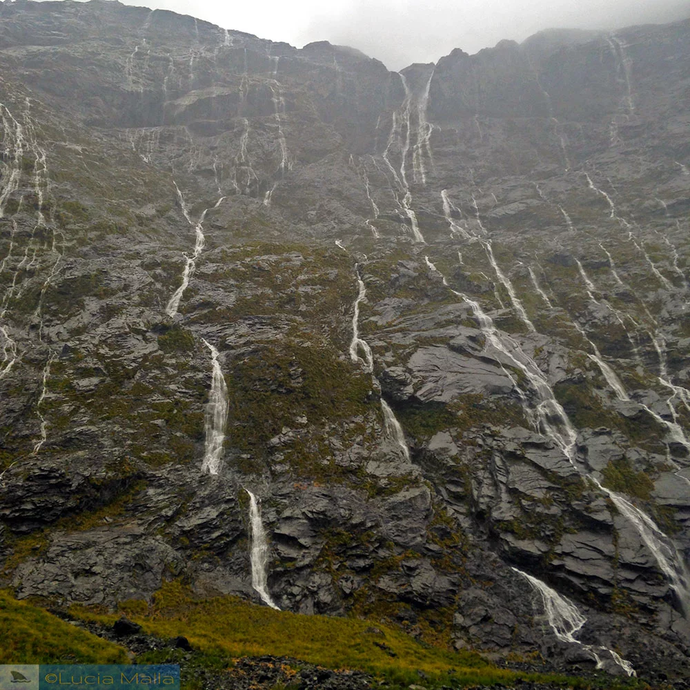 Milford Sound - Ilha Sul - Roteiro Nova Zelândia em 12 dias