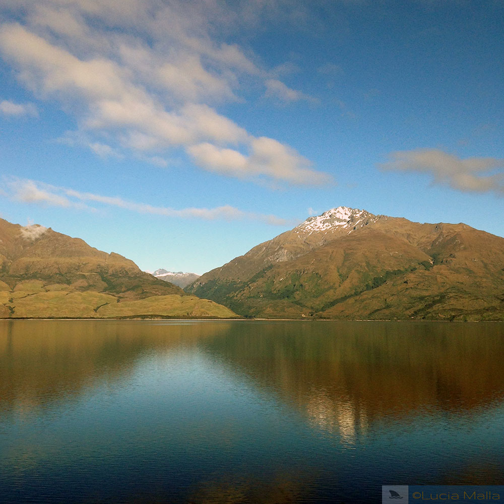 Roteiro Nova Zelândia em 12 dias - Lago de Wanaka