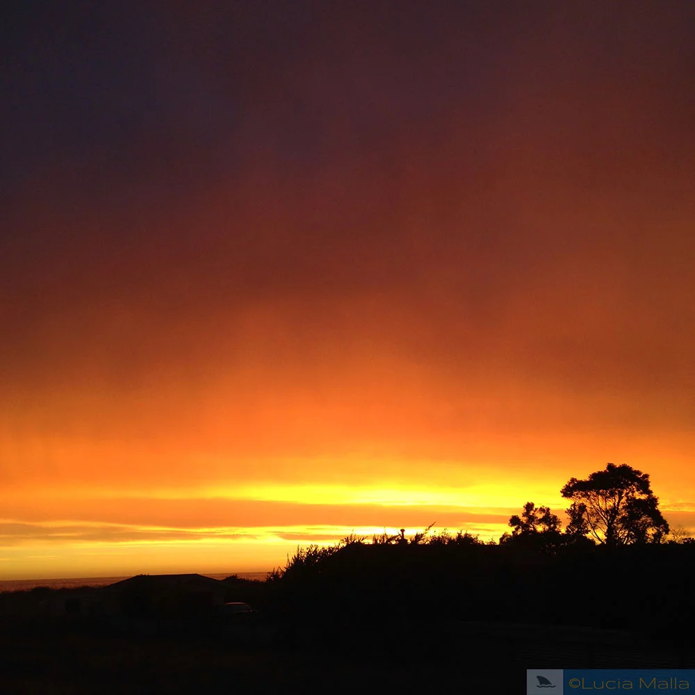 Nascer do sol em Kaikoura