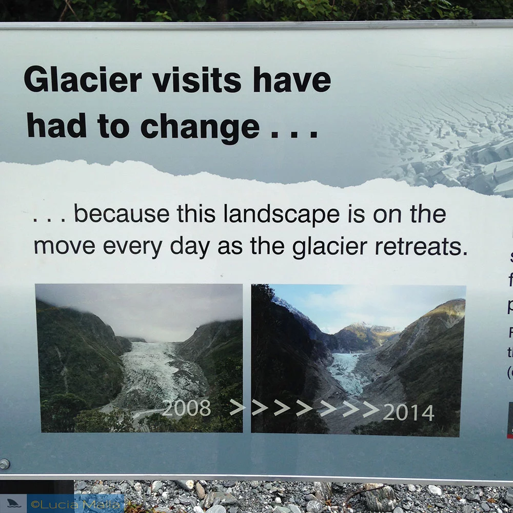 Mudanças Climáticas - Glaciar Fox - Nova Zelândia
