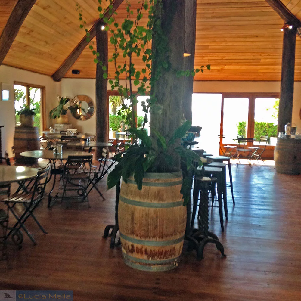 Roteiro Nova Zelândia - Wellington e Rotorua