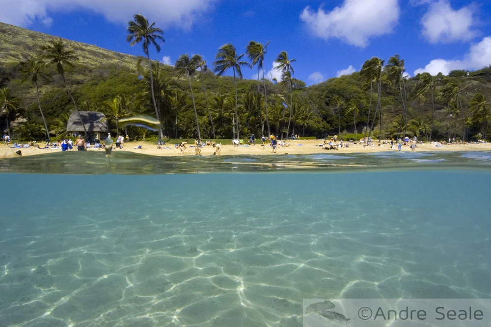 Praia de Hanauma Bay - Oahu - Havaí