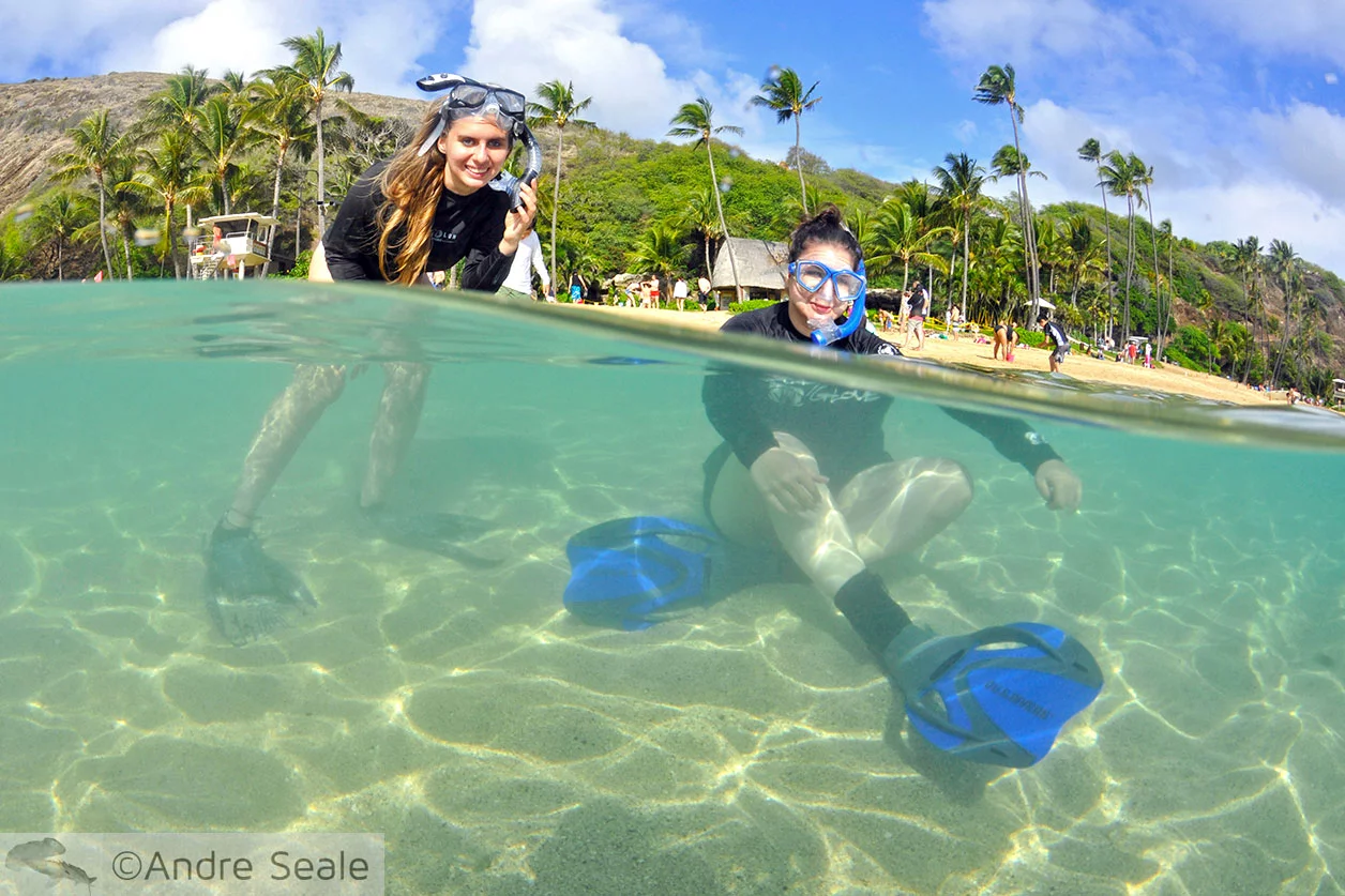 Snorkel em Hanauma Bay