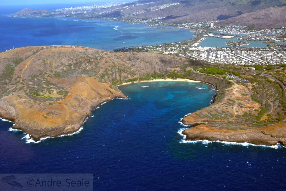 Vista aérea - Hanauma Bay - Oahu - Havaí