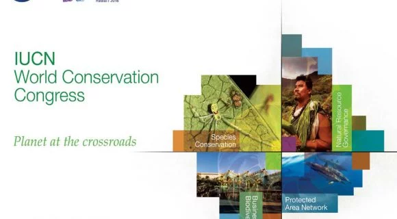 Semana agitada no Havaí