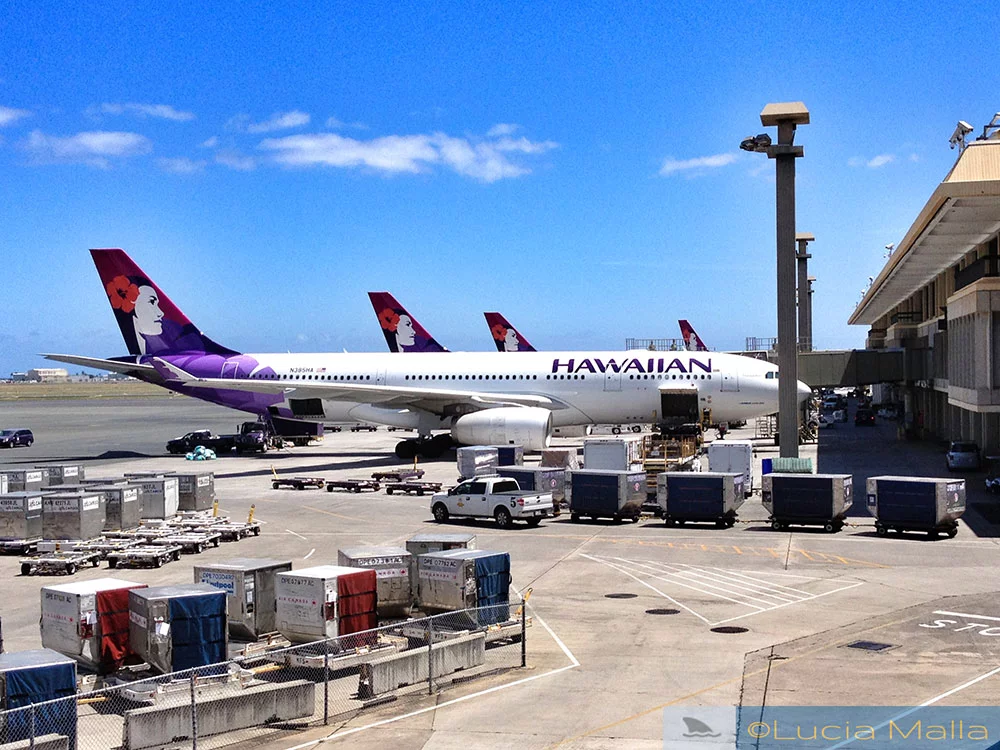 Melhores vôos para o Havaí - Hawaiian Airlines
