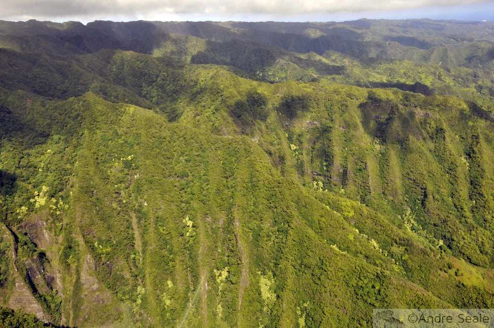 Penhascos de Oahu