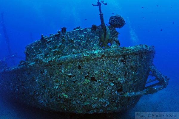 Sexta Sub - mergulho no naufrágio Mahi