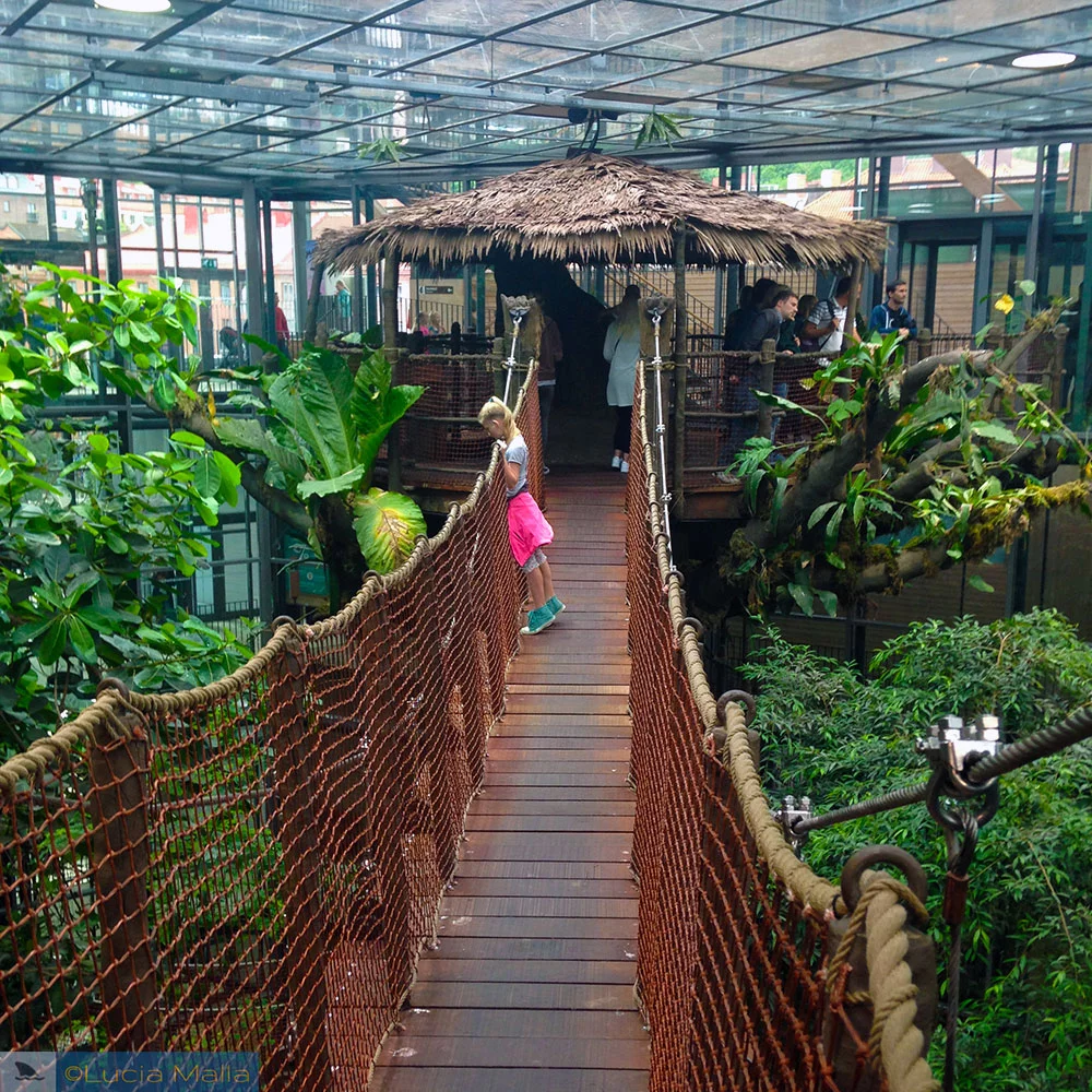Universeum - Roteiro em Gotemburgo