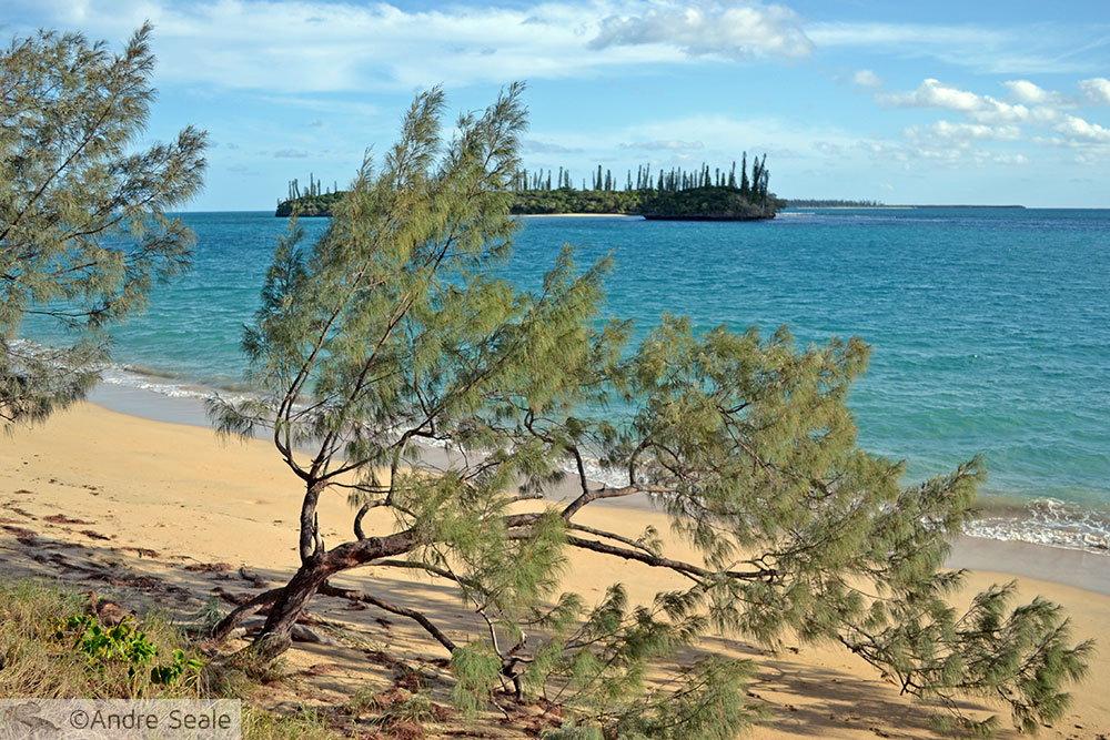 Praia de Kanumera - Isle of Pines - Nova Caledônia