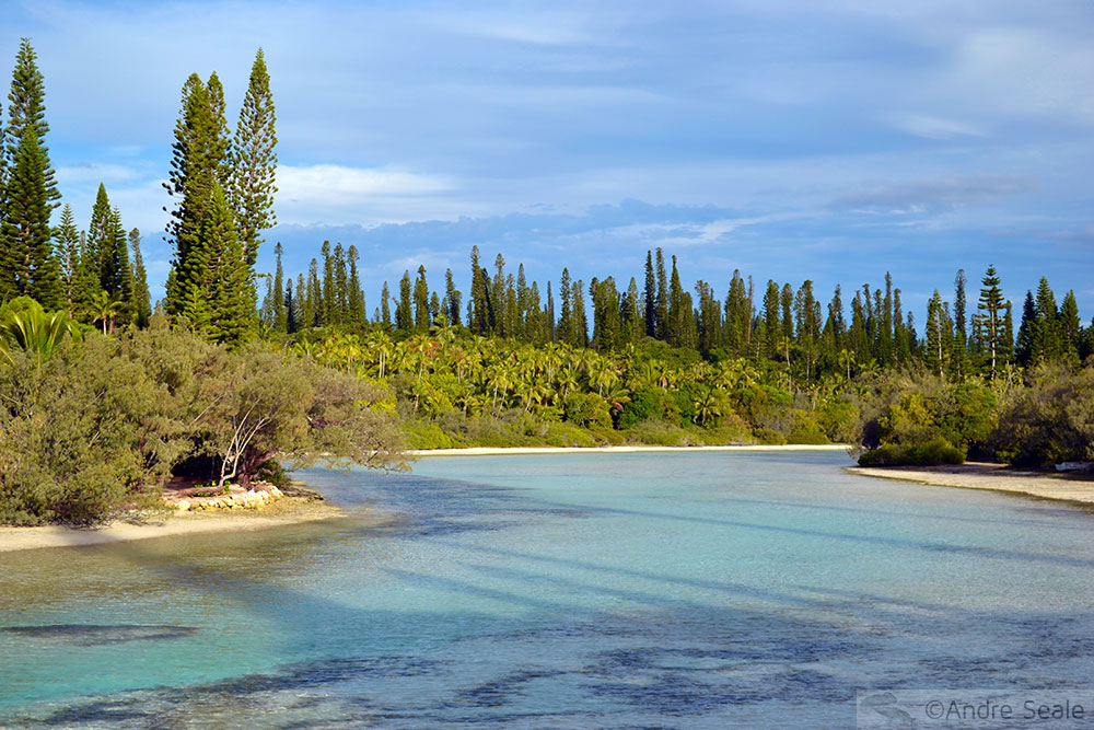 Aquário Natural da Isle of Pines - Nova Caledônia