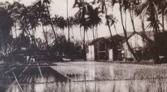 Viagem pelo Havaí de 1924