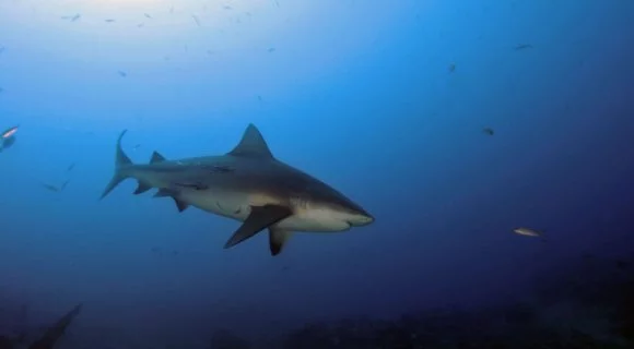 Sexta Sub: viajando…