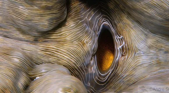 Sexta Sub: ups and downs