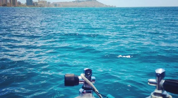 Sexta Sub: A melhor época de mergulho no Havaí