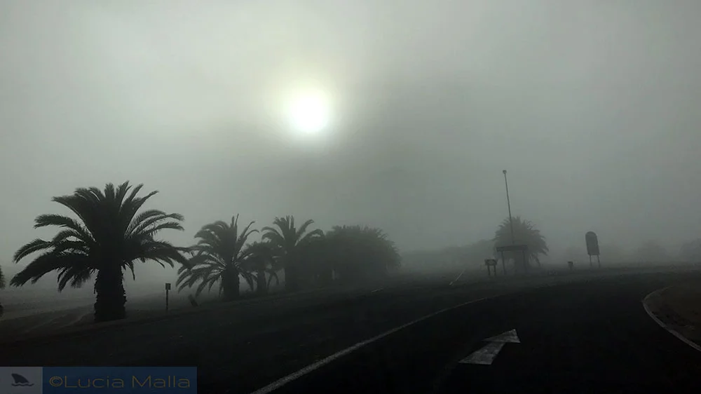 Brumas de Swakopmund