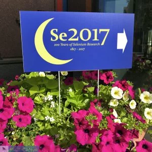 Nos passos de Berzelius e do Nobel em Estocolmo - Se2017