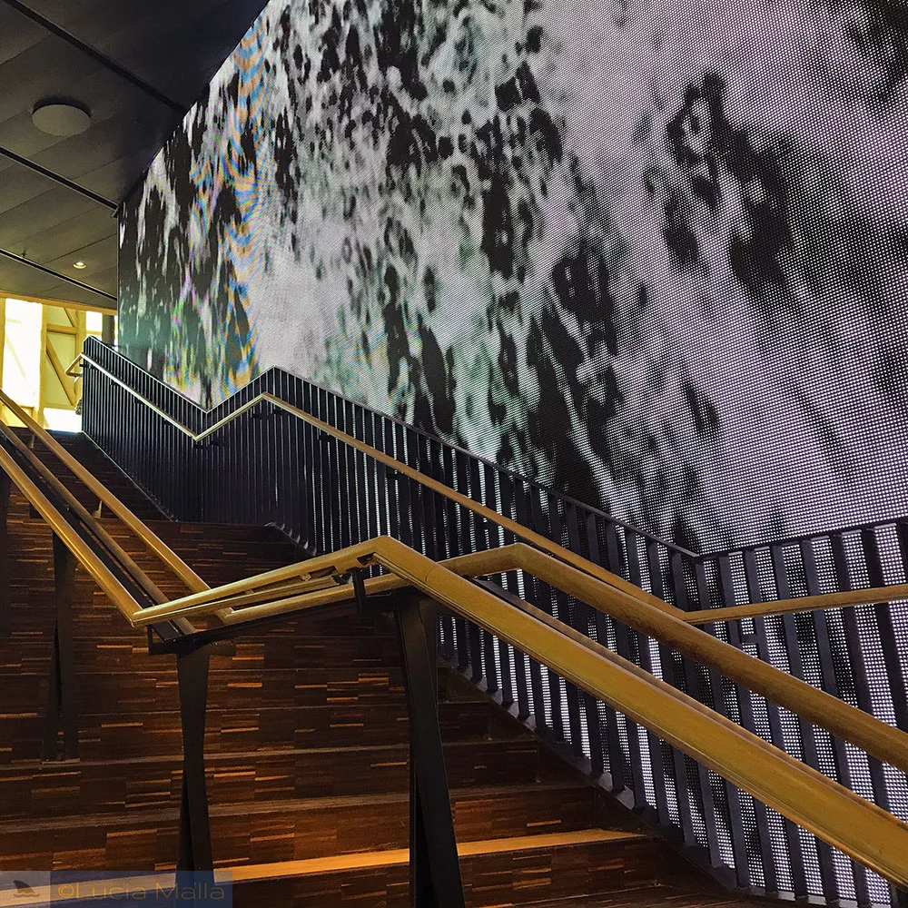 Escadaria do Aula Medica - Estocolmo