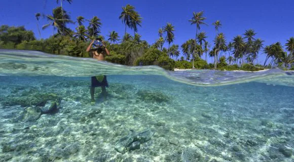 Sexta Sub: Weekend is coming!