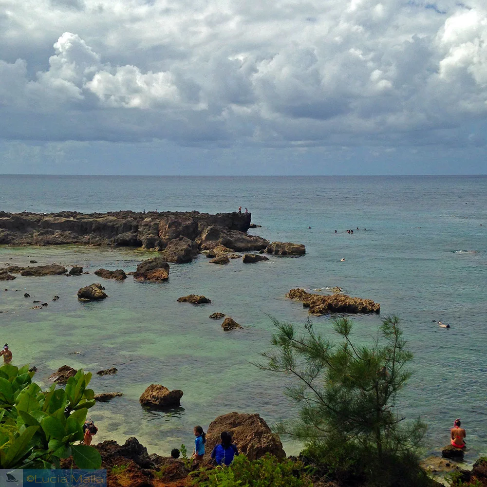 Shark's Cove - Havaí