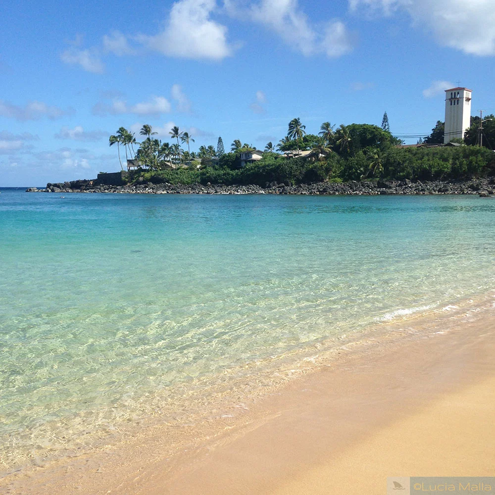 Waimea Bay - verão