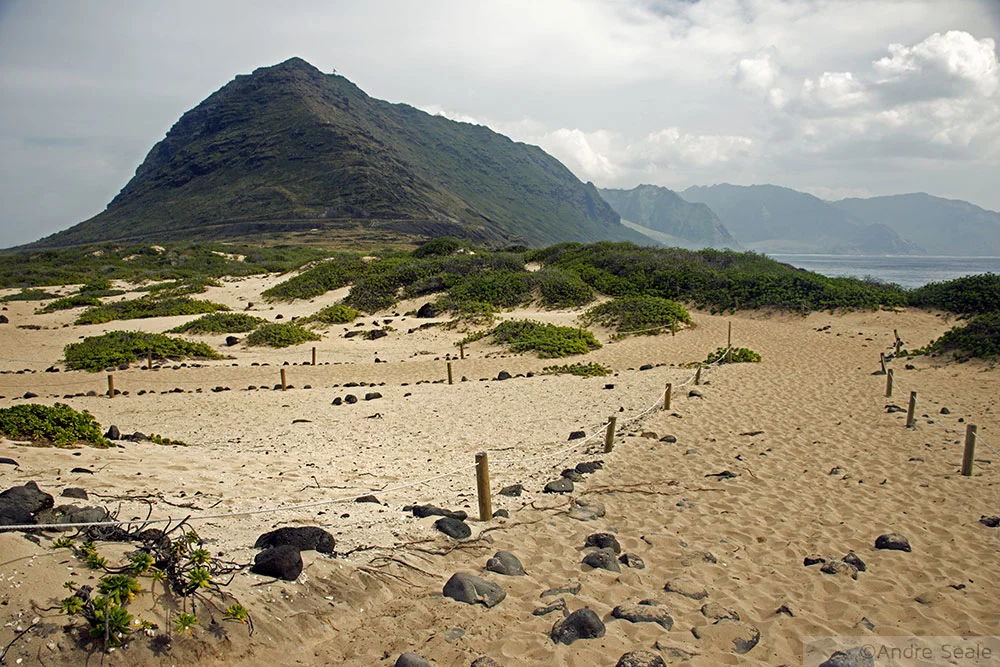 Kaena Point