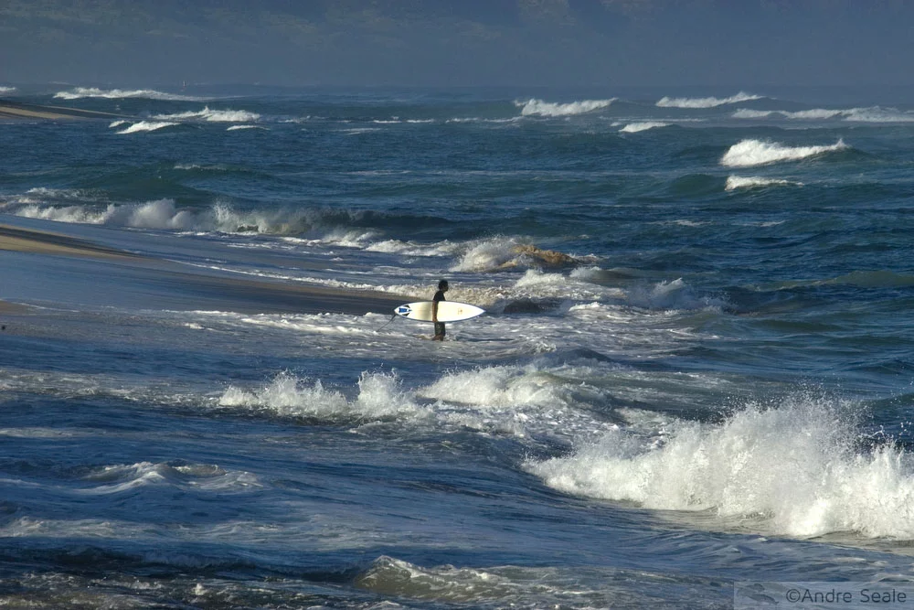 Surfista