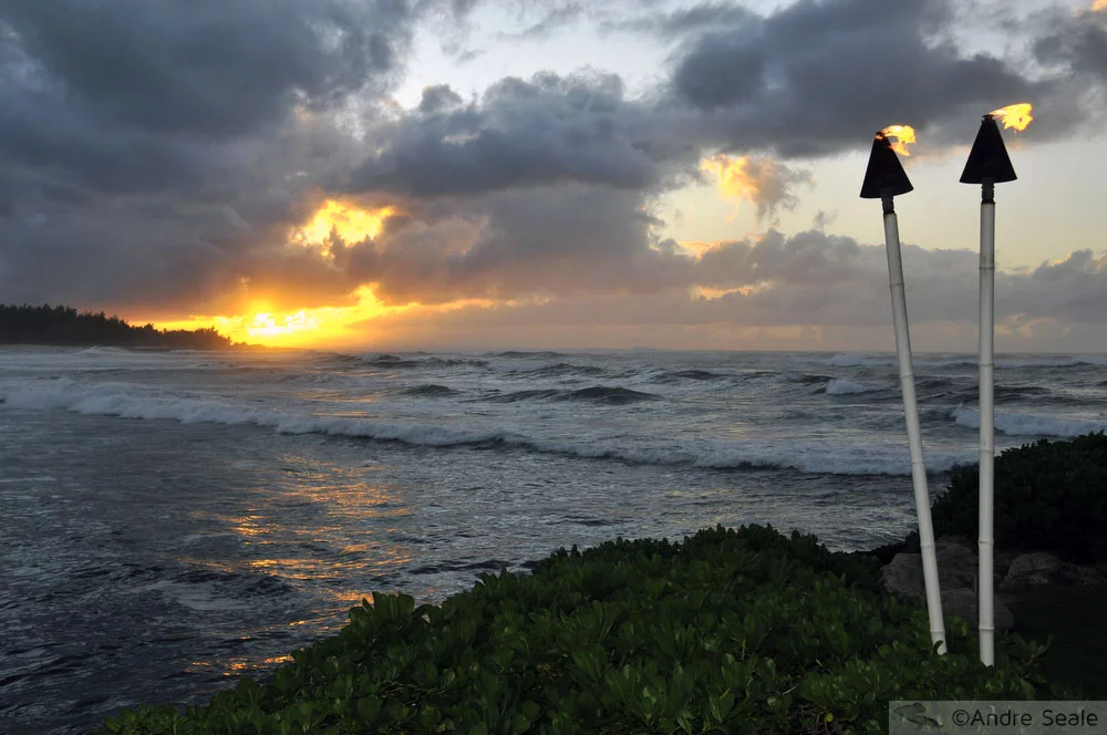Turtle Bay
