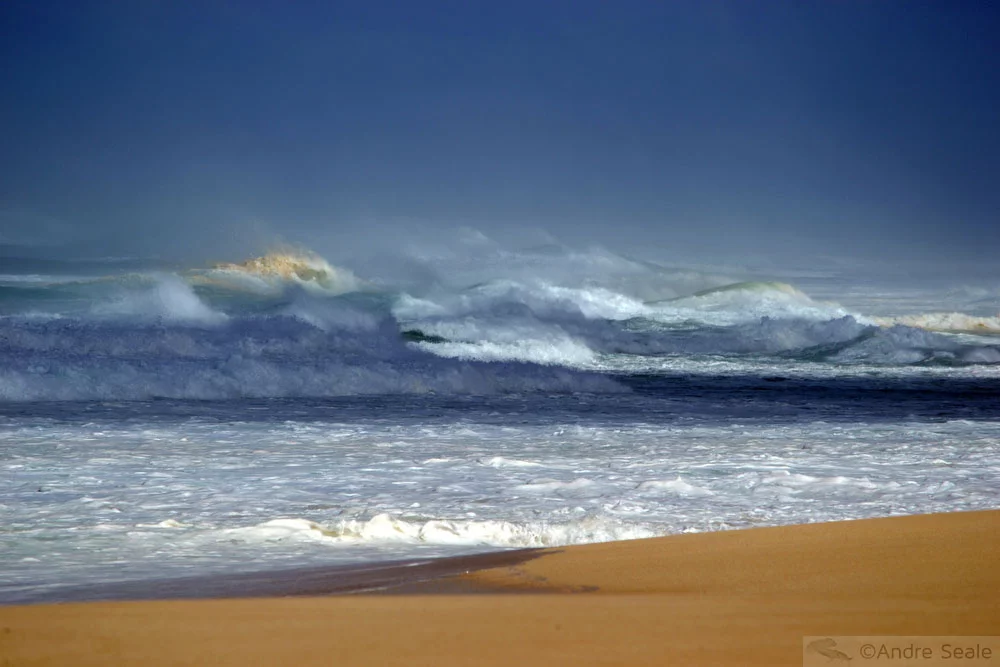 North Shore de Oahu