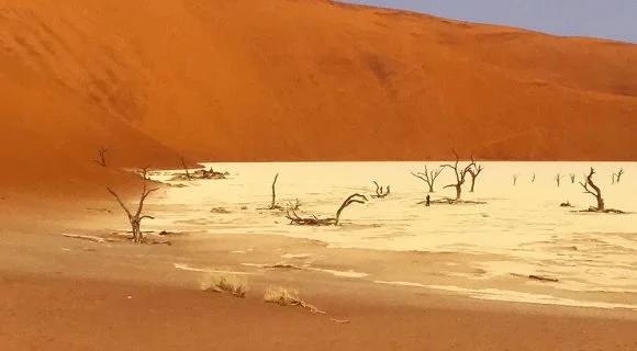 Namíbia: Quando a poeira baixa