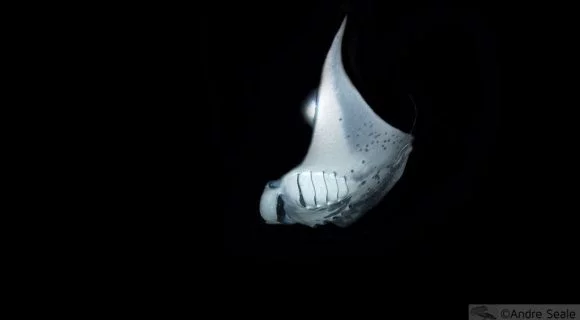 Sexta Sub: hoje é Black Friday