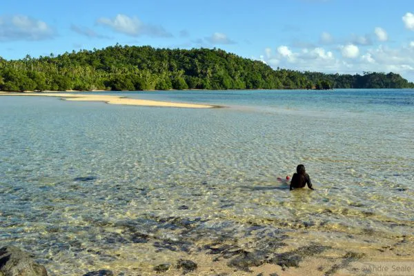 14 anos de blog da Malla