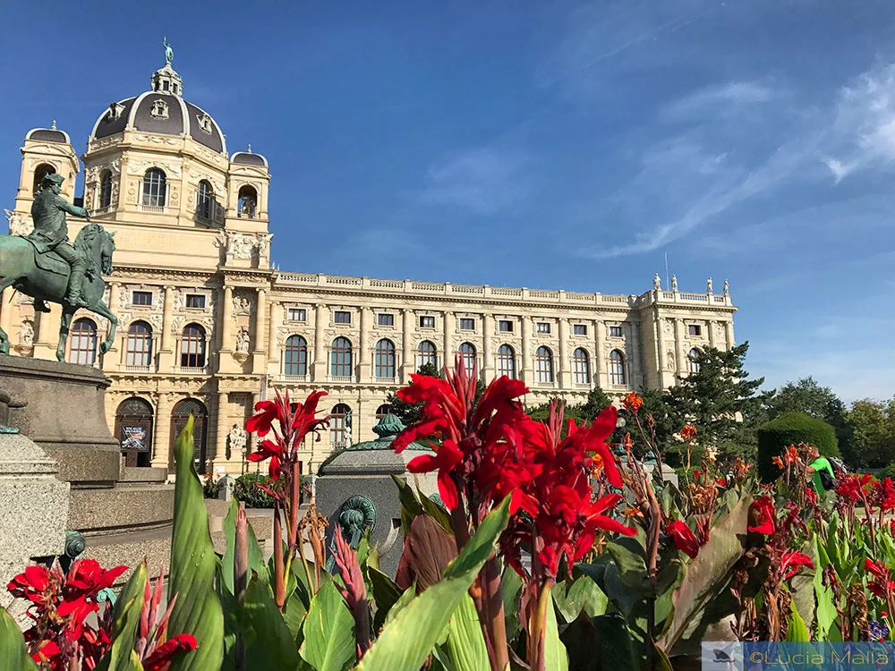 Museu de História Natural - Viena