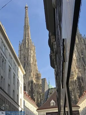 Catedral de São Estevão - Viena