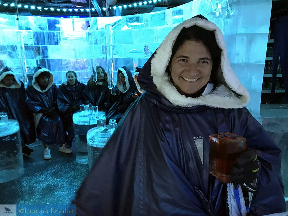 Malla no Ice Bar - Estocolmo