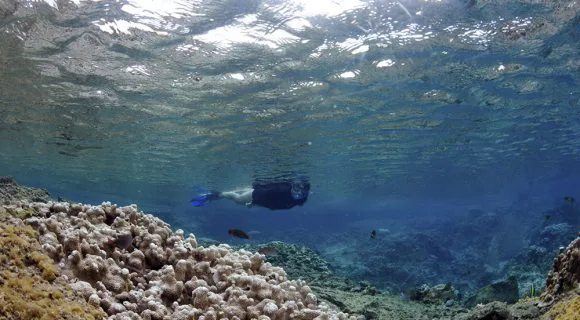 Réquiem para Waiopae