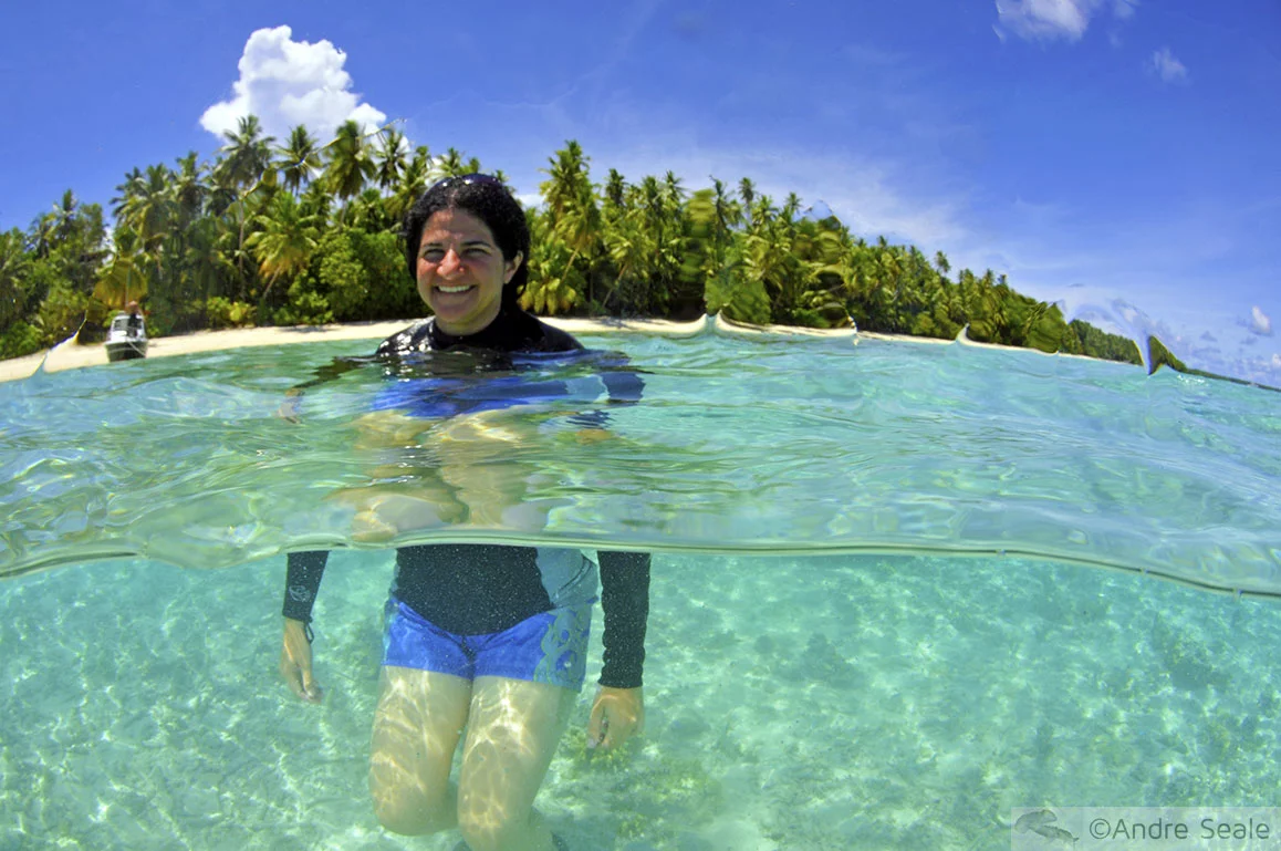 14 anos de uma Malla pelo mundo