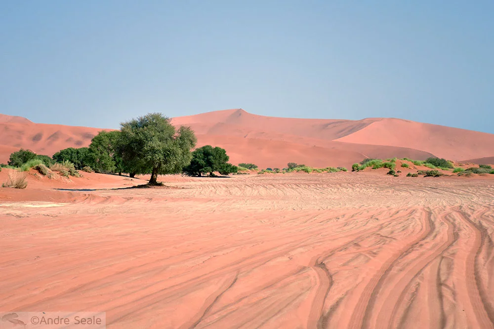 Estrada para o Sossusvlei - Cinco dias na Namíbia